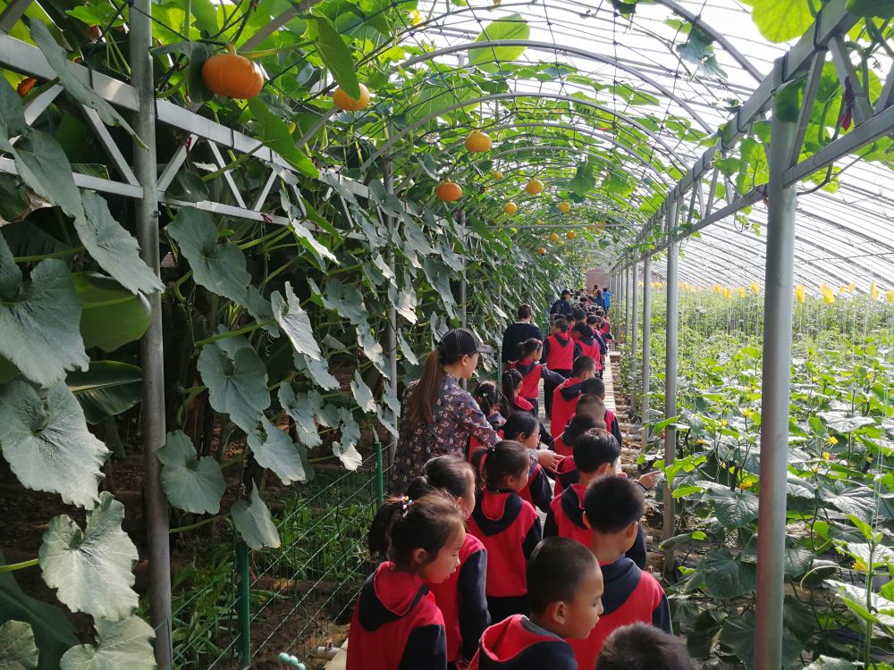 江津哪里有富硒蔬菜(江津富硒食品)-硒宝网