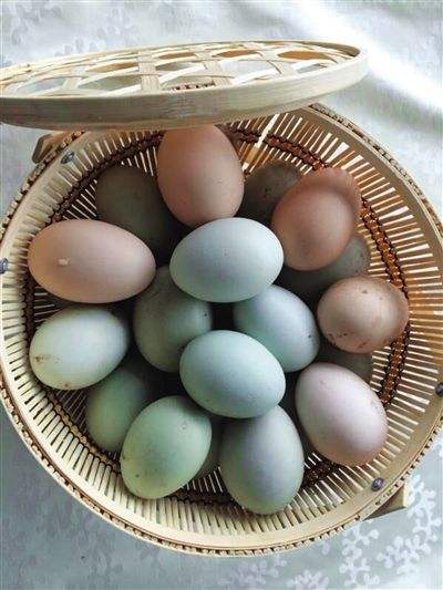 江津哪里有富硒蔬菜(江津富硒食品)-硒宝网