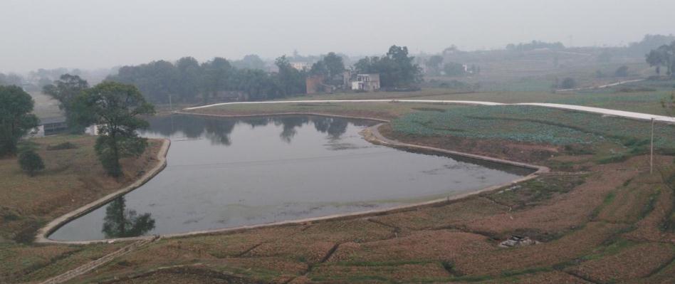江津哪里有富硒蔬菜(江津富硒食品)-硒宝网