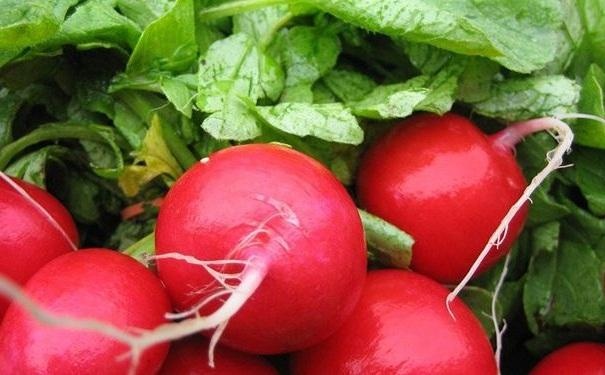 什么蔬菜补铁(蔬菜补铁排行)-硒宝网