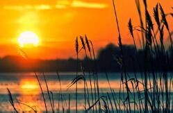 老年人吃什么补钙(老人补钙吃hmb)-硒宝网