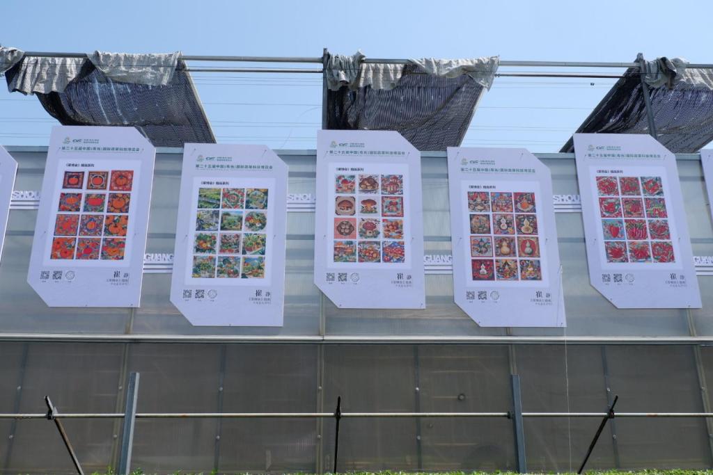 富硒蔬菜手抄报内容(蔬菜为主题的手抄报文字)-硒宝网