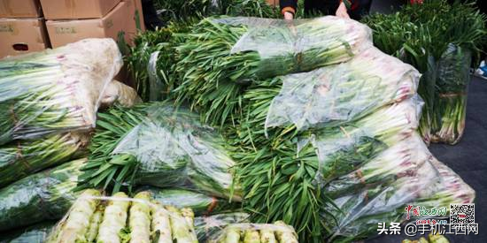 宁都哪里有富硒蔬菜(富硒蔬菜多少钱一斤)-硒宝网