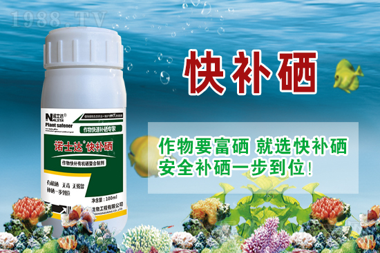 什么蔬菜有富硒液肽(蔬菜液肽富硒有哪些)-硒宝网