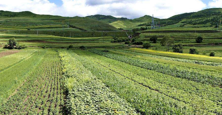 农业部富硒蔬菜标准（农产品富硒标准）-硒宝网