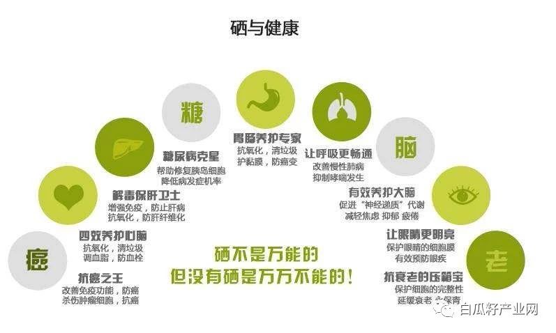 蔬菜富硒是什么意思（蔬菜怎么富硒）-硒宝网