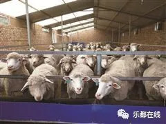 富硒蔬菜产业园股票(蔬菜农业股票)-硒宝网