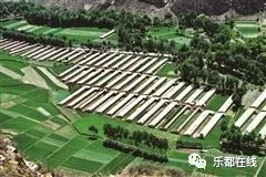 富硒蔬菜产业园股票(蔬菜农业股票)-硒宝网