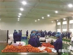 富硒蔬菜产业园股票(蔬菜农业股票)-硒宝网