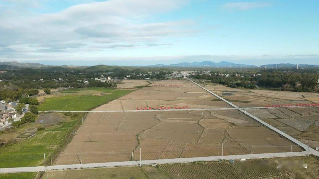 富硒蔬菜基地有哪些(万亩富硒蔬菜基地)-硒宝网