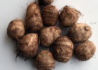 如何做富硒有机蔬菜(富硒蔬菜的好处)-硒宝网