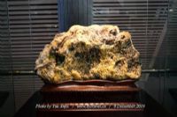 如何做富硒有机蔬菜(富硒蔬菜的好处)-硒宝网