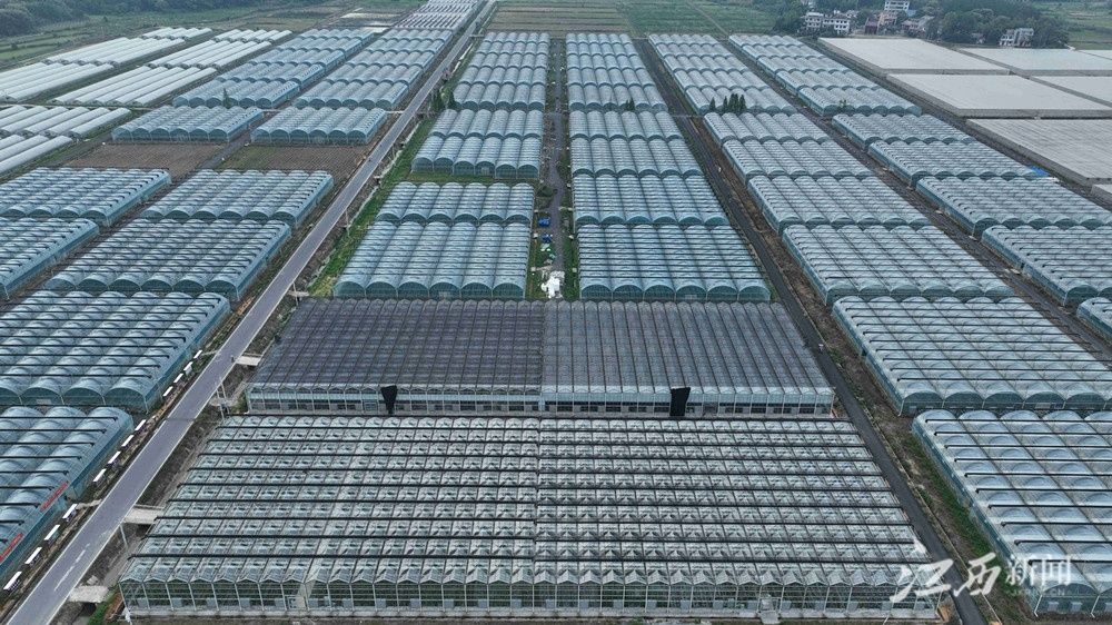 分宜富硒蔬菜示范园（蔬菜示范基地）-硒宝网