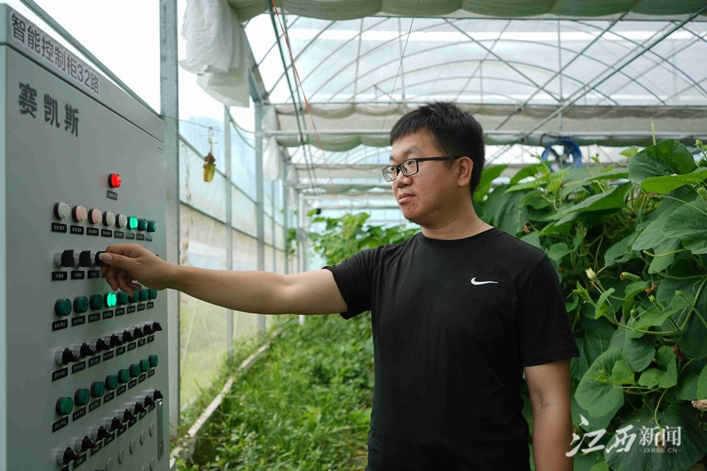 分宜富硒蔬菜示范园（蔬菜示范基地）-硒宝网