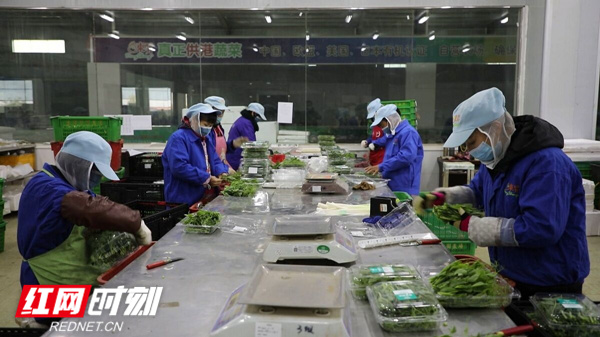 东升富硒蔬菜产业园(东升蔬菜基地)-硒宝网