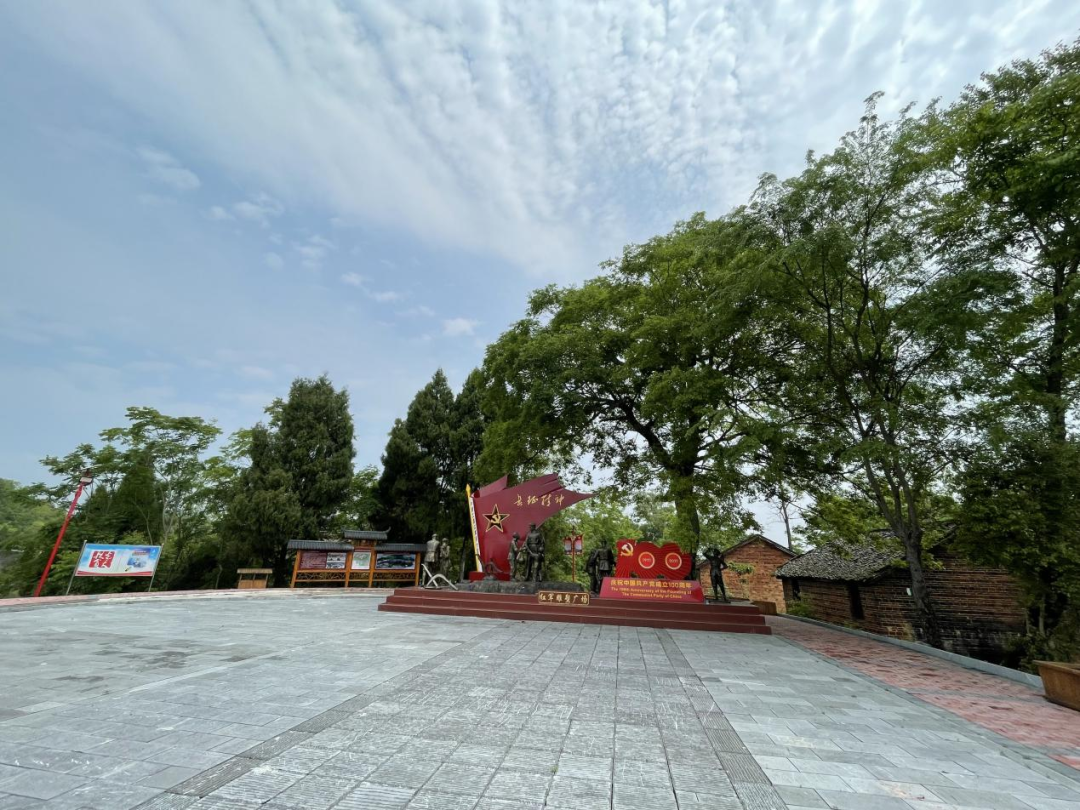 富硒纯天然绿色蔬菜（绿色富硒农产品）-硒宝网