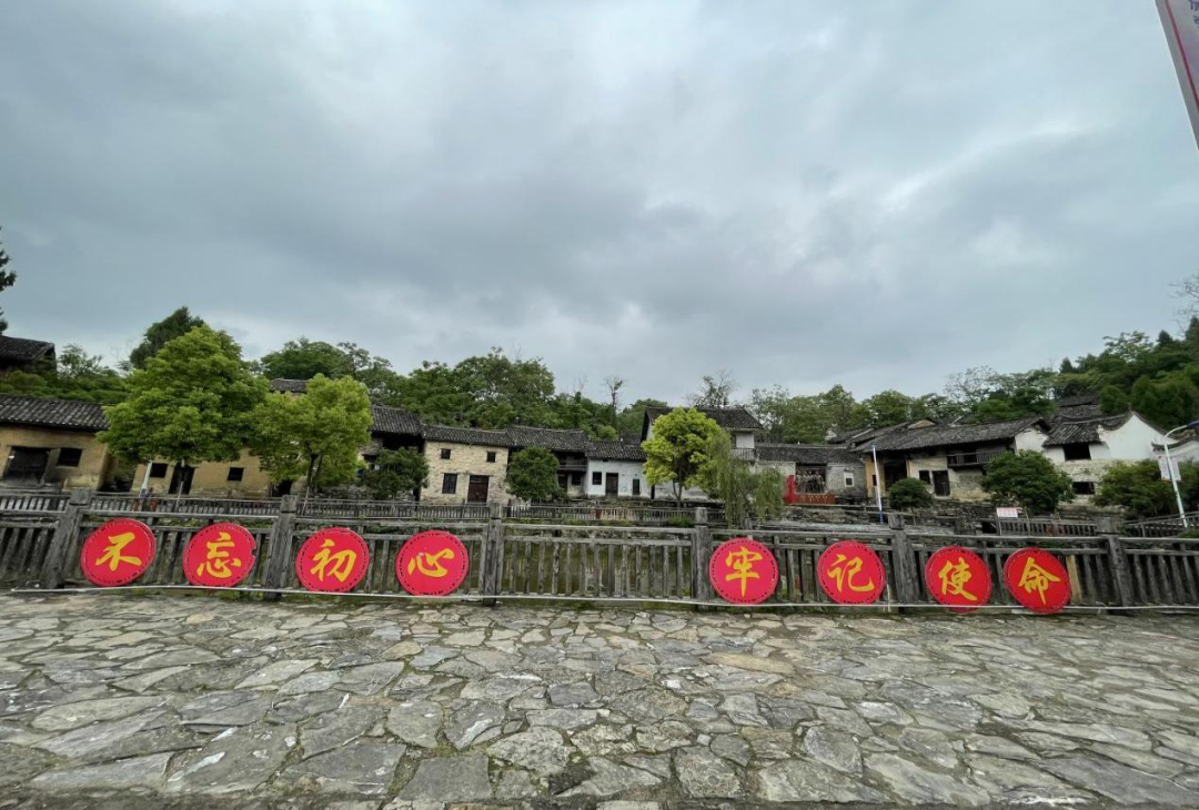 富硒纯天然绿色蔬菜（绿色富硒农产品）-硒宝网