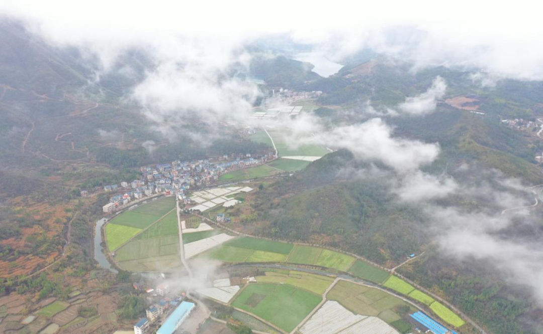 富硒纯天然绿色蔬菜（绿色富硒农产品）-硒宝网