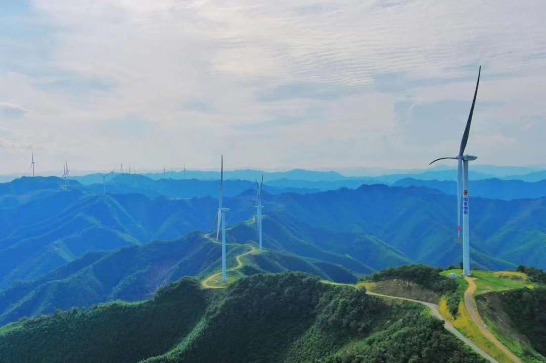 富硒纯天然绿色蔬菜（绿色富硒农产品）-硒宝网