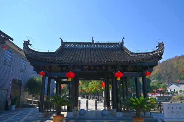 富硒纯天然绿色蔬菜（绿色富硒农产品）-硒宝网