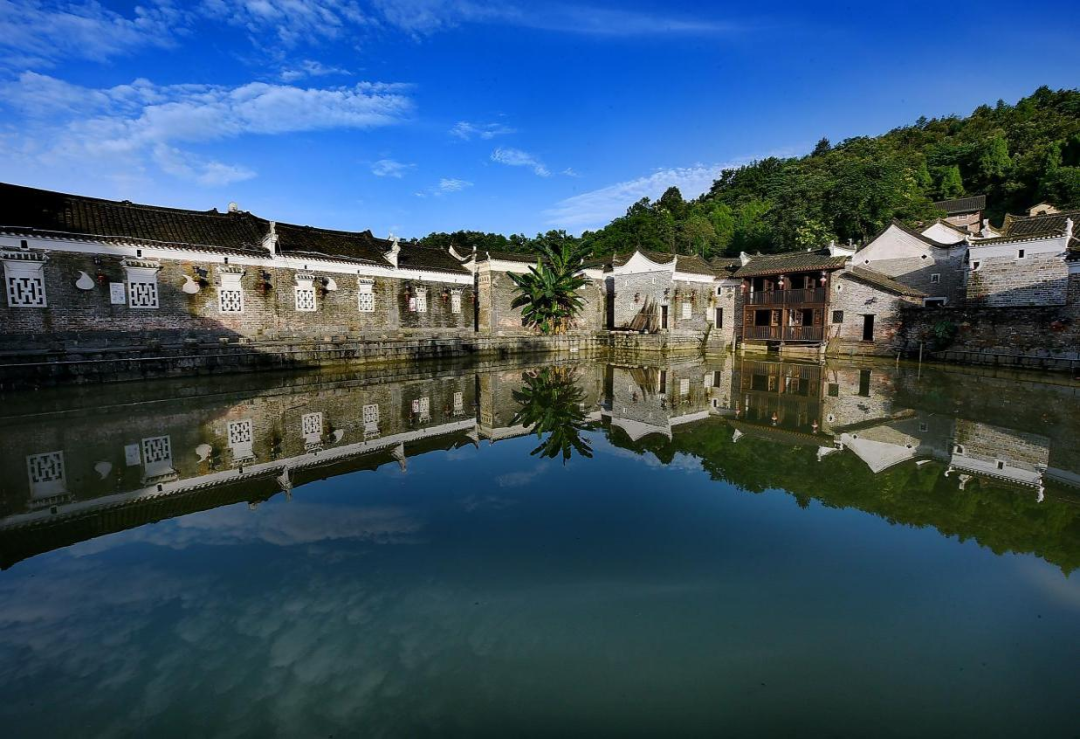 富硒纯天然绿色蔬菜（绿色富硒农产品）-硒宝网