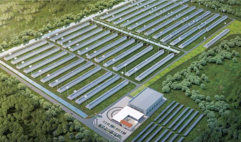 农业部富硒蔬菜标准(富硒农产品硒含量标准)-硒宝网