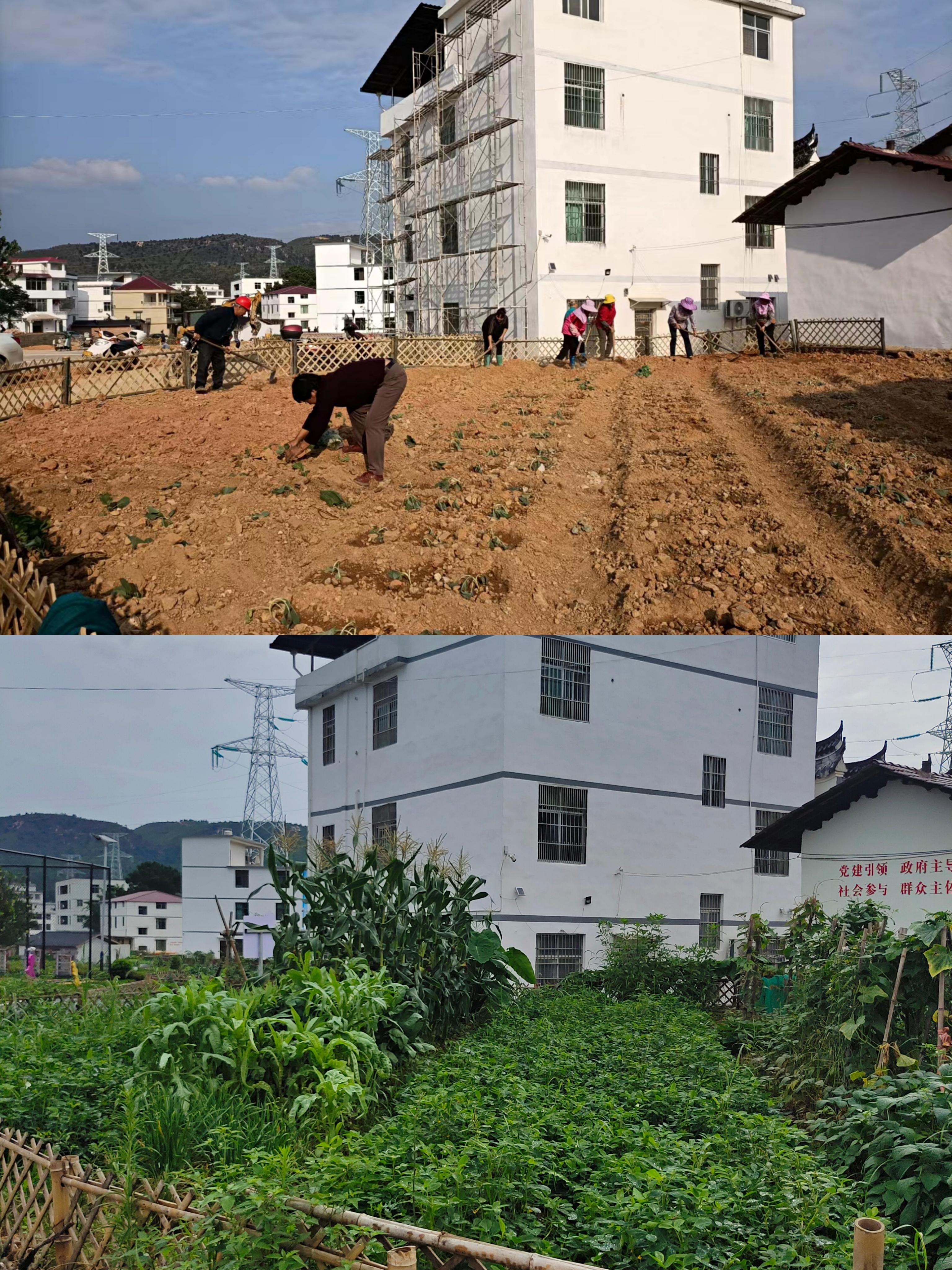 于都潭头村富硒蔬菜（于都富硒蔬菜基地）-硒宝网