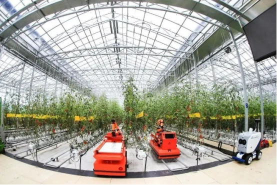 成都富硒蔬菜产业园(成都蔬菜基地种植在什么地方)-硒宝网