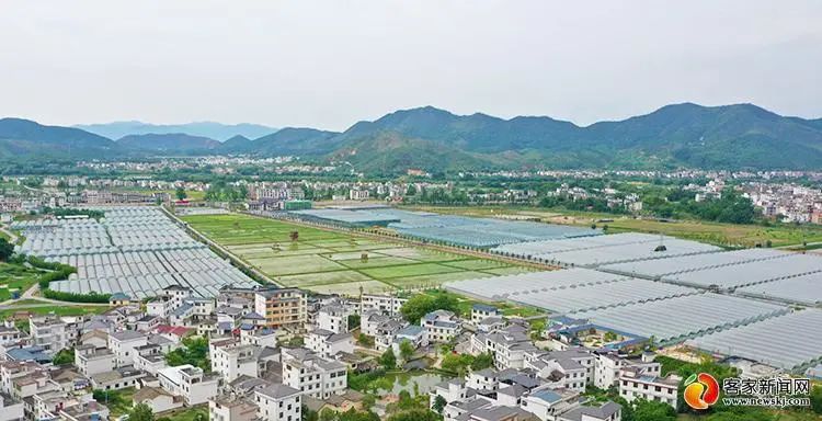 富硒蔬菜种植加什么(富硒蔬菜怎么种植)-硒宝网