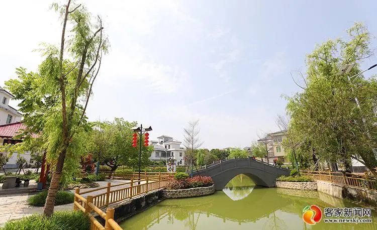 富硒蔬菜种植加什么(富硒蔬菜怎么种植)-硒宝网