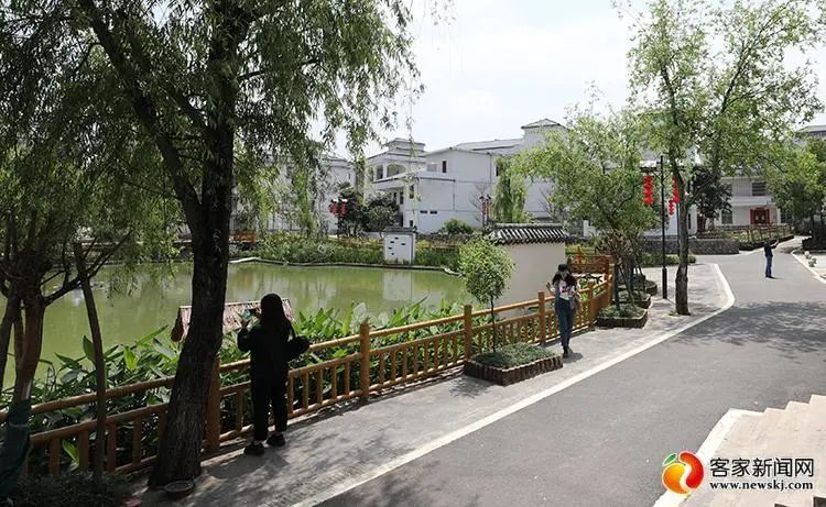 富硒蔬菜种植加什么(富硒蔬菜怎么种植)-硒宝网