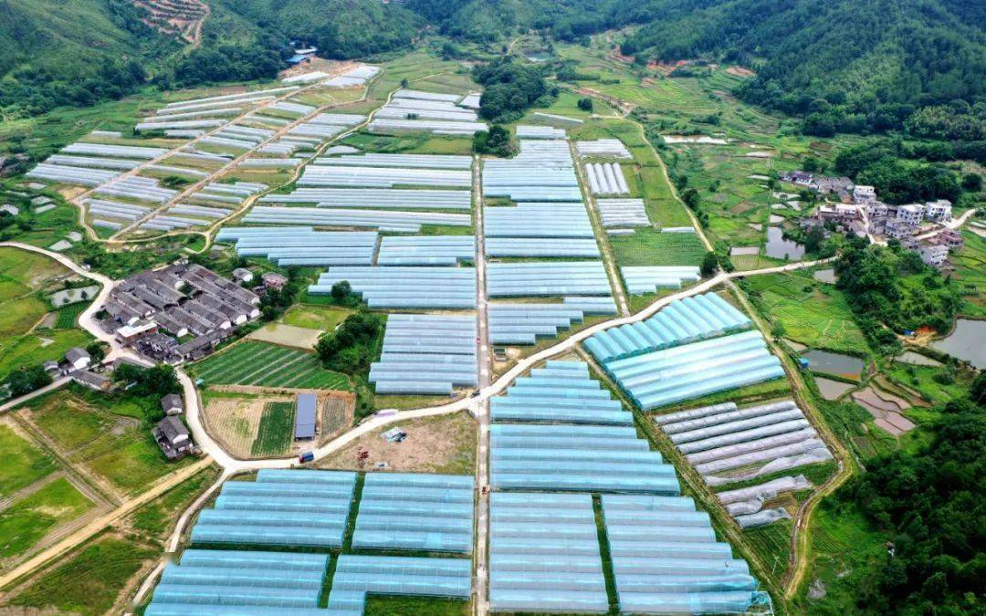 高富硒蔬菜种植技术(中国富硒蔬菜杂交)-硒宝网