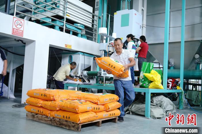 新建村富硒蔬菜基地（万亩富硒蔬菜基地）-硒宝网