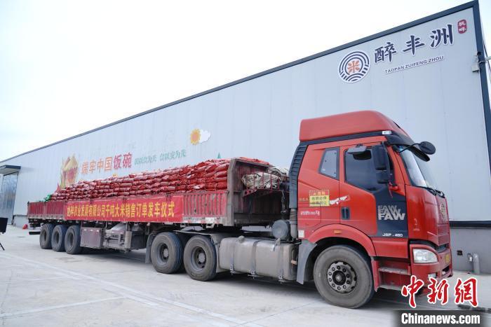 新建村富硒蔬菜基地（万亩富硒蔬菜基地）-硒宝网