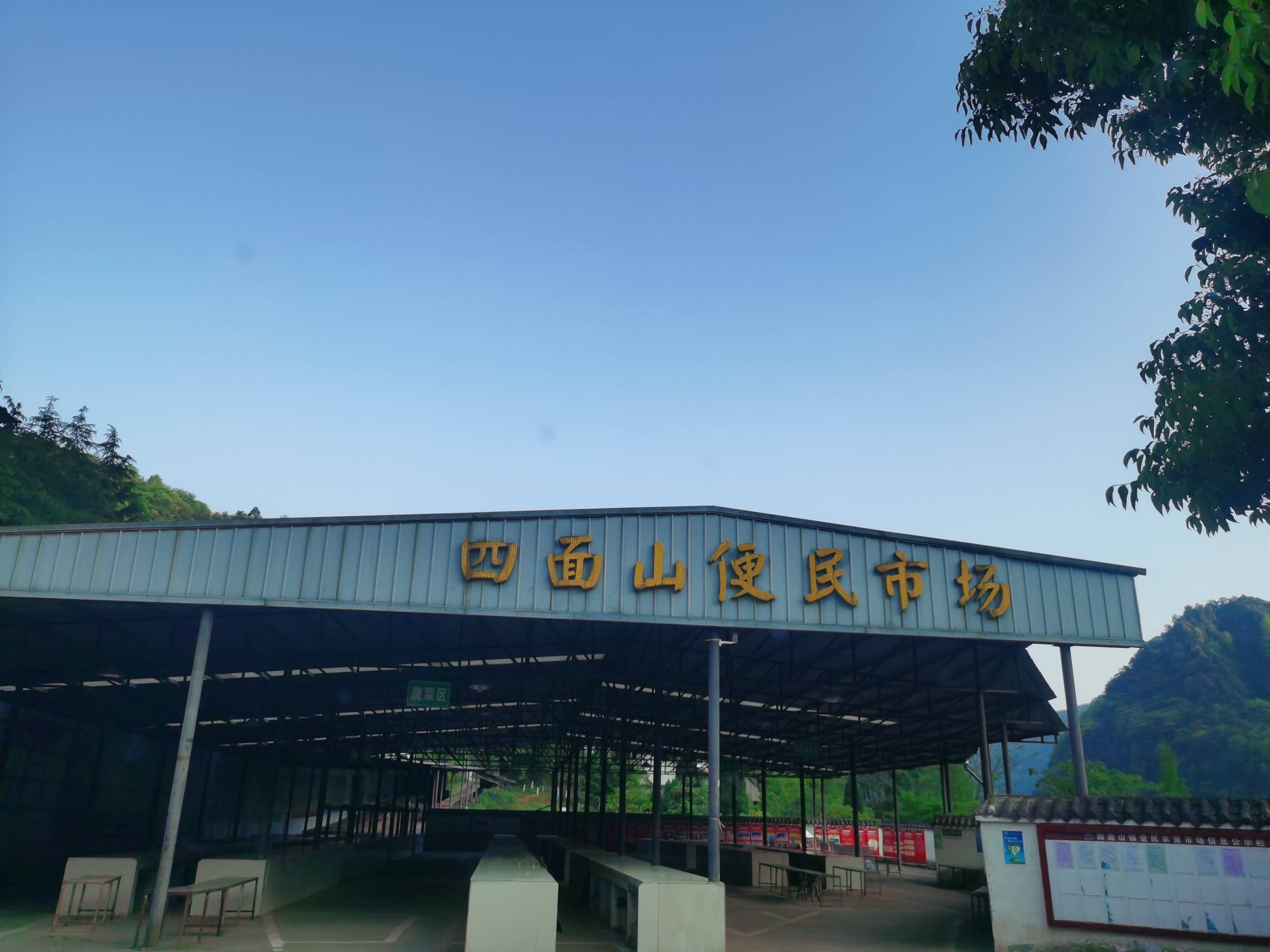 淄博富硒蔬菜多少钱(淄博富硒采摘园哪里好)-硒宝网