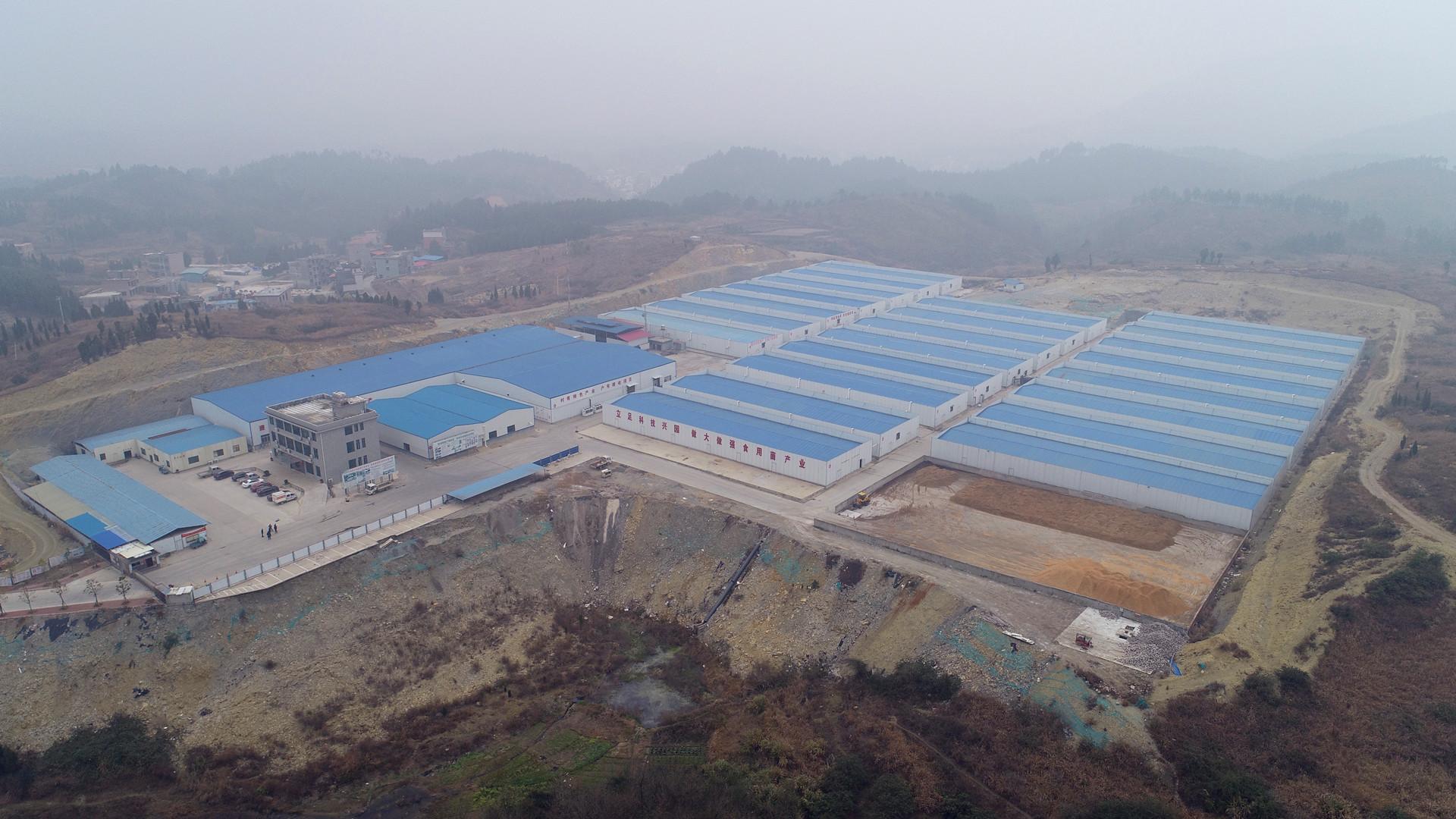 新建村富硒蔬菜基地(蔬菜基地)-硒宝网