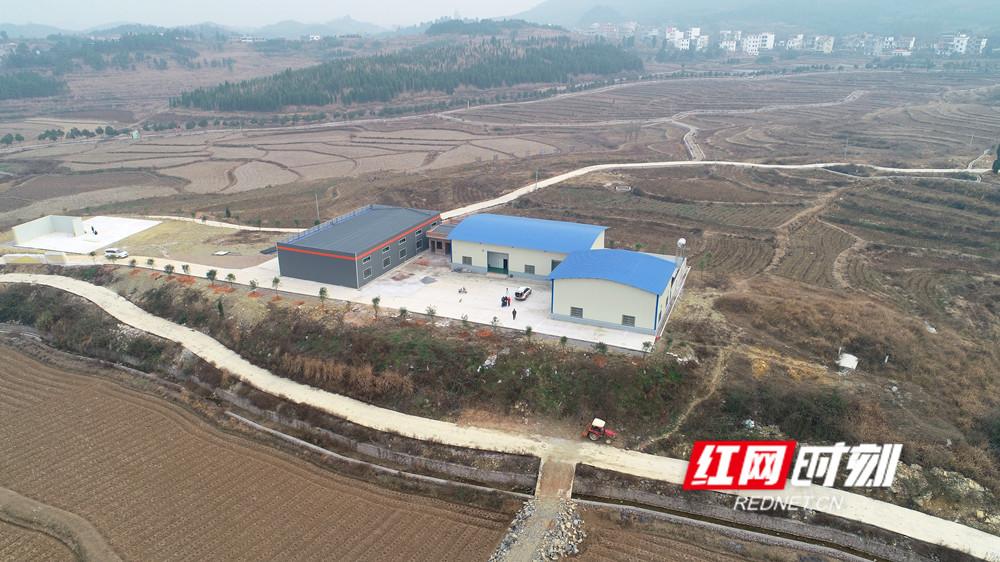 新建村富硒蔬菜基地(蔬菜基地)-硒宝网