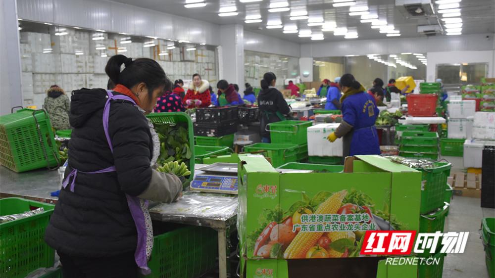 新建村富硒蔬菜基地(蔬菜基地)-硒宝网