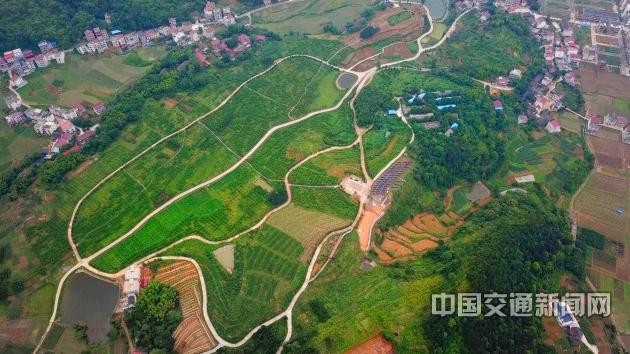 新建村富硒蔬菜基地（蔬菜基地建设）-硒宝网