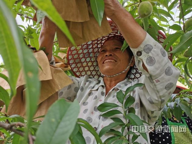 新建村富硒蔬菜基地（蔬菜基地建设）-硒宝网