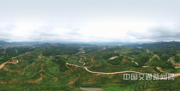 新建村富硒蔬菜基地（蔬菜基地建设）-硒宝网