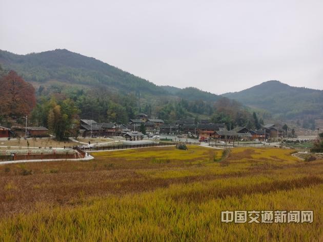 新建村富硒蔬菜基地（蔬菜基地建设）-硒宝网