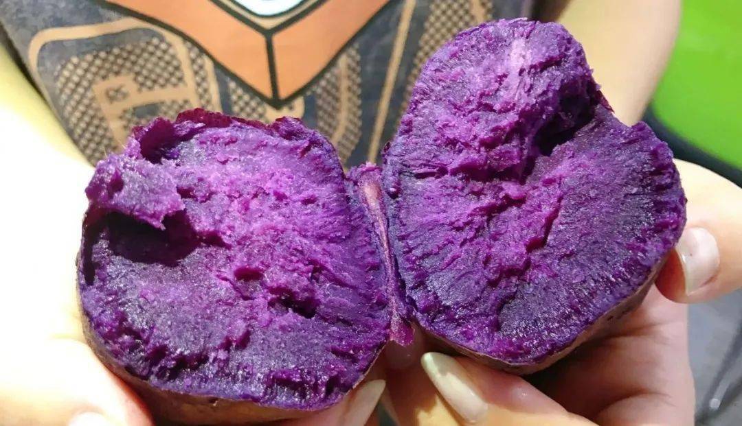 南江乡富硒蔬菜基地（名胜富硒农庄）-硒宝网