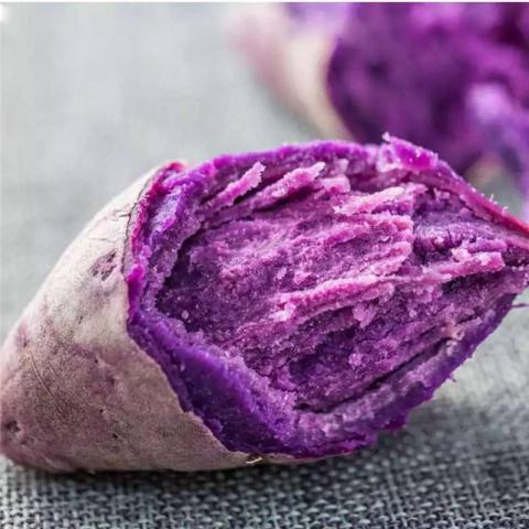 南江乡富硒蔬菜基地（名胜富硒农庄）-硒宝网