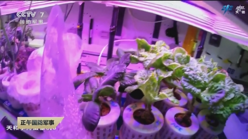 富硒蔬菜基地出租吗(蔬菜基地赚钱吗)-硒宝网