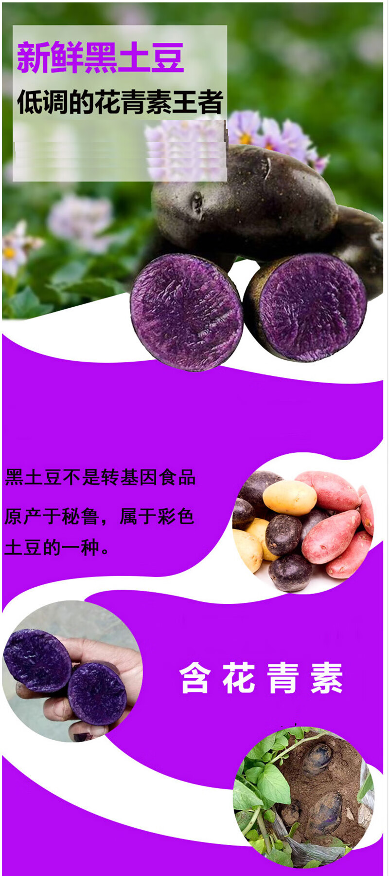 富硒蔬菜基地出租吗(蔬菜基地赚钱吗)-硒宝网