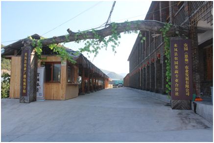 野三关高山富硒蔬菜(野三关富硒地)-硒宝网