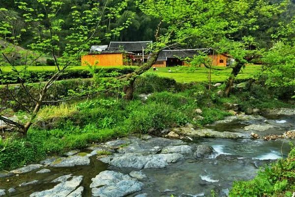 野三关高山富硒蔬菜(野三关富硒地)-硒宝网