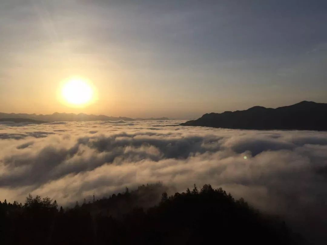 野三关高山富硒蔬菜(野三关富硒地)-硒宝网