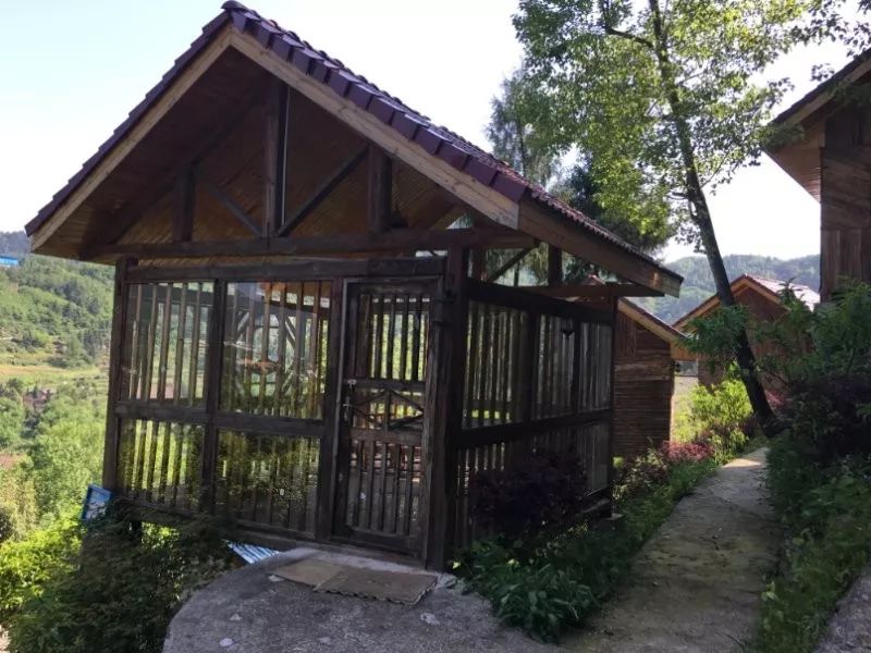 野三关高山富硒蔬菜(野三关富硒地)-硒宝网